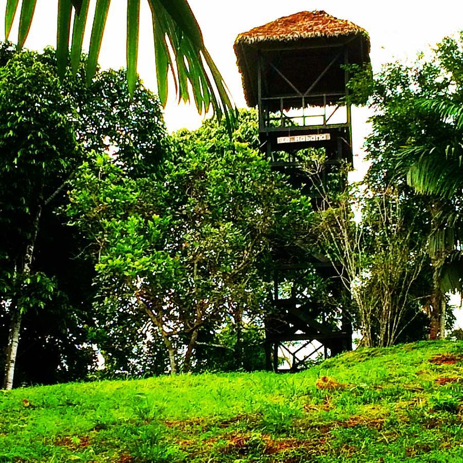 La Habana Amazon Reserve بويرتو مالدونادو المظهر الخارجي الصورة